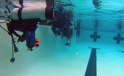 10246745_691300947596935_7419069551216431721_n